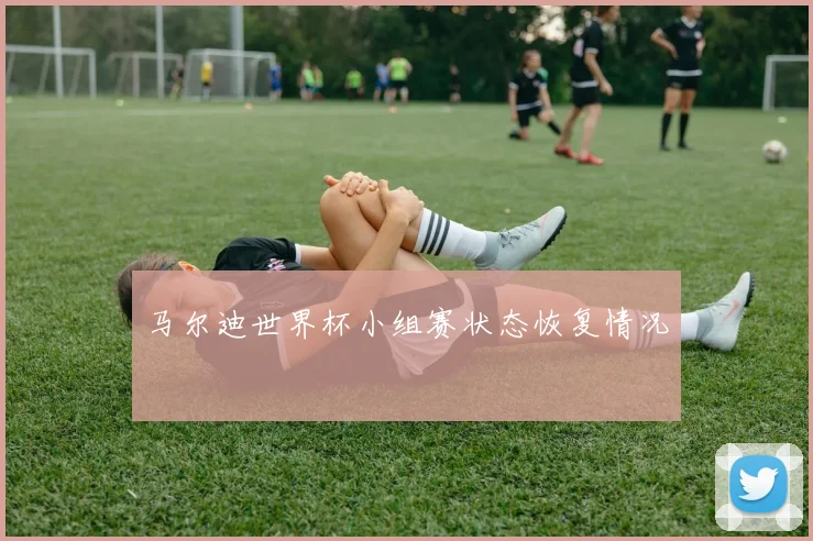 马尔迪世界杯小组赛状态恢复情况