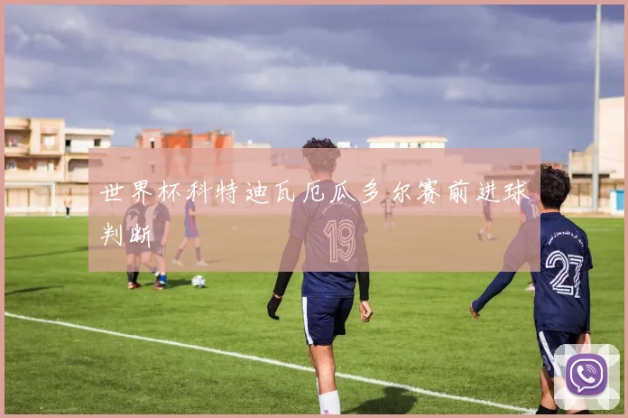 世界杯科特迪瓦厄瓜多尔赛前进球判断